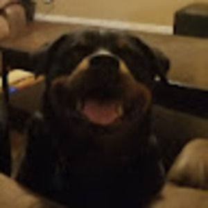 Meet your Posher, Jason